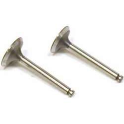 Ventil In/Ut (2) FA-100. FG-17