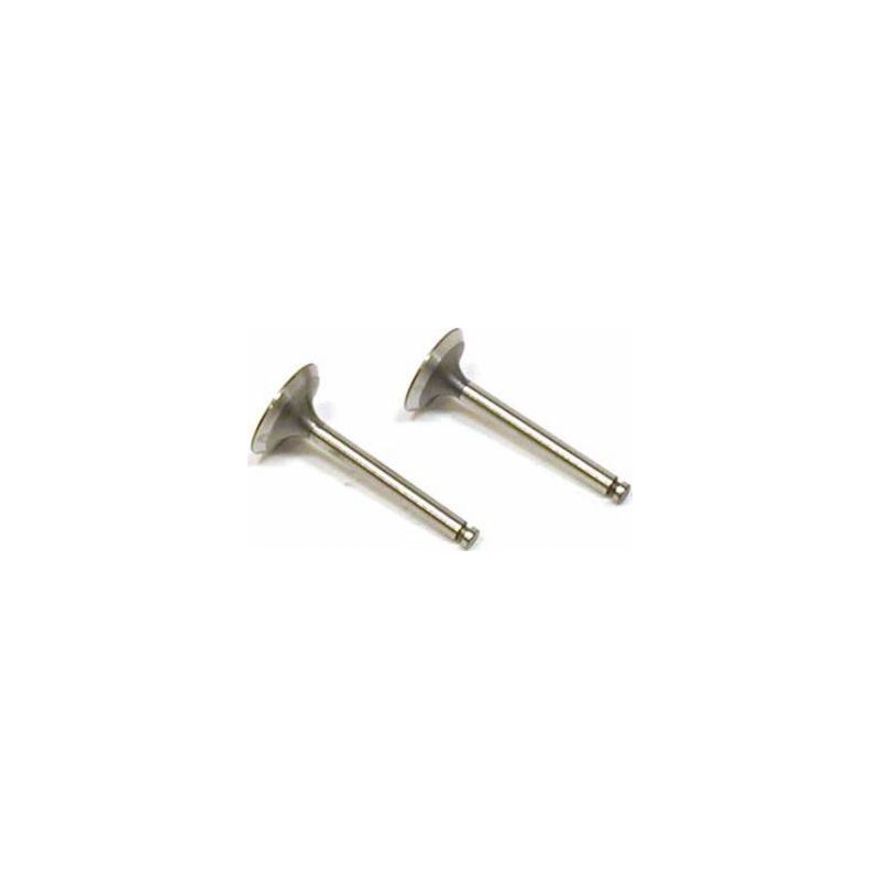 Valve In/Out (2) FA-100, FG-17