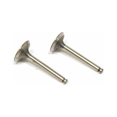 Valve In/Out (2) FA-100, FG-17