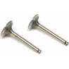 Valve In/Out (2) FA-100, FG-17