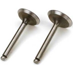 Valve In/Out (2) FA-125, FG-21/60