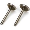 Valve In/Out (2) FA-125, FG-21/60