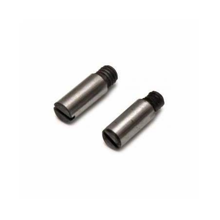 Rocker Arm Pin (2)