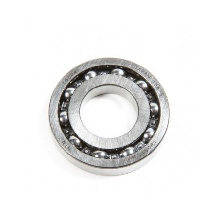 Rear Ball Bearing FG-100TS