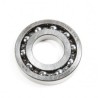 Rear Ball Bearing FG-100TS