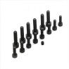 Crankcase Screw Set FG-100TS/FG-50