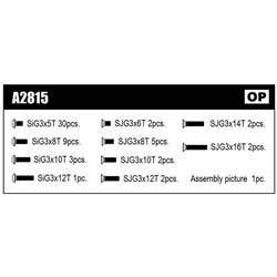 TITANIUM SCREW SET (top)