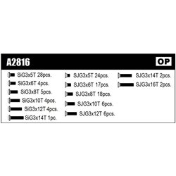 TITANIUM SCREW SET (top) FWD