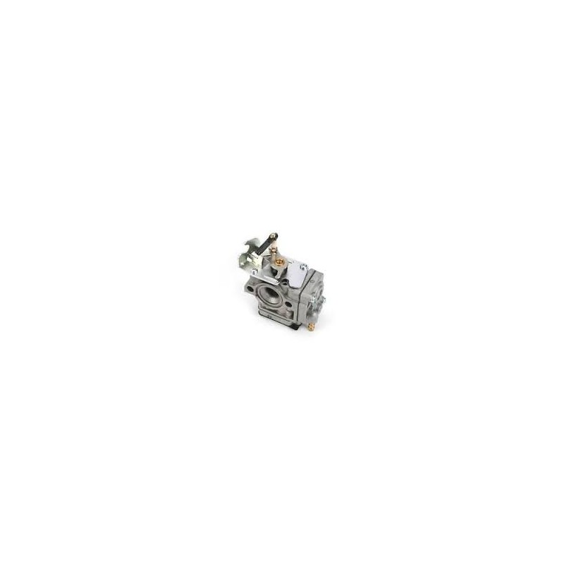 Carburettor Complete FG-36/40