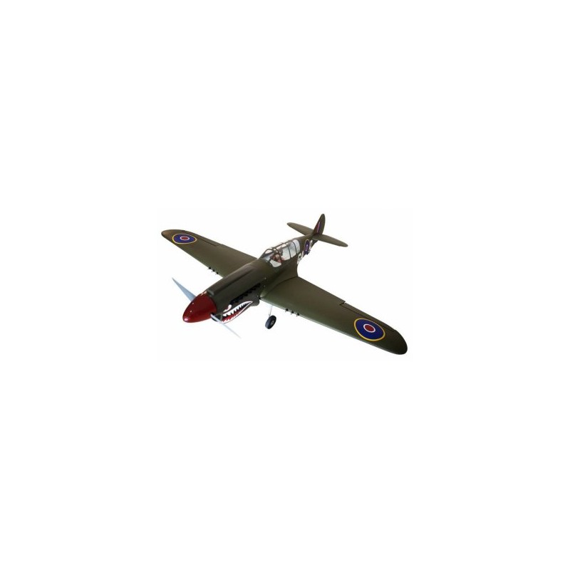 P-40 Warhawk Shark 38-61cc w. ep-retracts