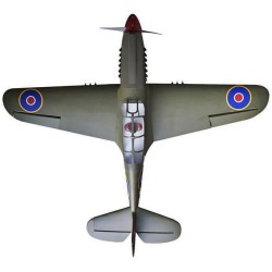P-40 Warhawk Shark 38-61cc w. ep-retracts