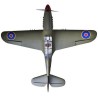 P-40 Warhawk Shark 38-61cc w. ep-retracts