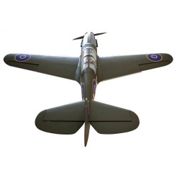P-40 Warhawk Shark 38-61cc w. ep-retracts