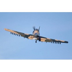 Skyraider Camo 35-60cc Bensin 2.15m ARF