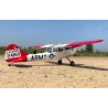 Giant Cessna Bird Dog "DeadEye 70-125cc Gas