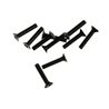 M2X10 F/H SCREW