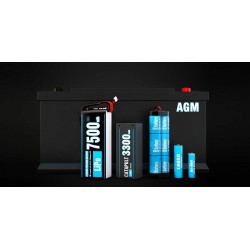 SkyRC T200 Charger 240VAC/12VDC 12A 2x100W