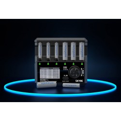 SkyRC NC2500 Charger NiMH AA/AAA 0.1-2.5A 240AC