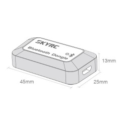 Bluetooth Dongle SkyRc