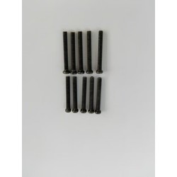 Phillips Skruv M2.5x20mm (8)