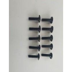 Phillips Skruv M3x10mm (10)