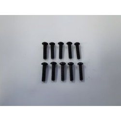 Hex Skruv M3x15mm (10)
