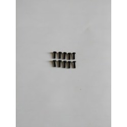 Phillips Skruv M2x6mm (10)