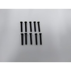 Phillips Skruv M3x20mm (10)