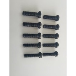 Phillips Skruv M3x16mm (10)