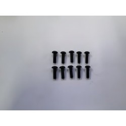 Hex Skruv M3x10mm (10)