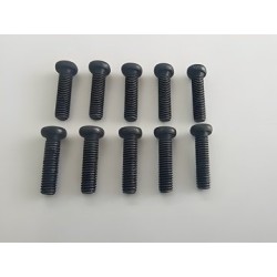 Phillips Skruv M2x12mm (10)