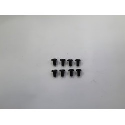 Hex Skruv M2.5x4mm (8)