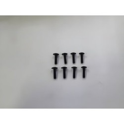 Hex Skruv M2.5x10mm (8)