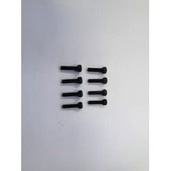 Hex Skruv M2.5x10mm (8)