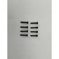 Hex Skruv M2.5x14mm (8)