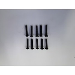 Hex Skruv M3x16mm (10)