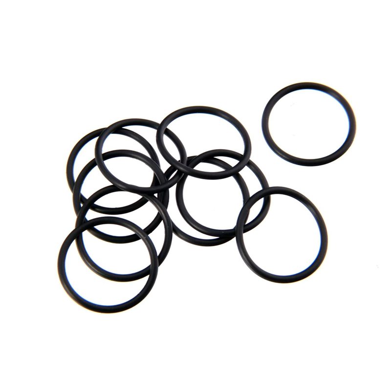 O-RING S18 (10)