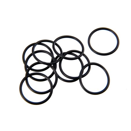 O-RING S18 (10)