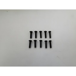 Hex Skruv M2.5x8mm (10)