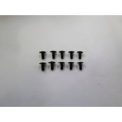 Skruv M2.5x6mm (10)