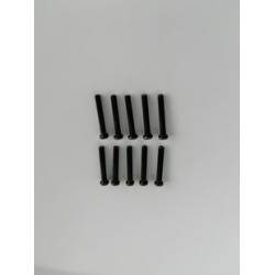 Phillips Skruv M2.5x16mm (10)