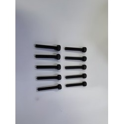 Hex Screw M3x20mm (10)