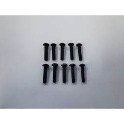 Hex Screw M3x14mm (10)