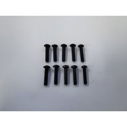 Hex Screw M3x25mm (10)