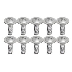 Phillips Screw 2x6mm (10)