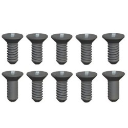 Phillips Skruv 2.6x8mm (10)