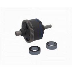 Assembled Center Differential 63T 0.5 MOD 500k cSt: MINI
