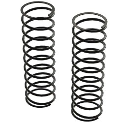 Rear Shock Spring (2): 4x5