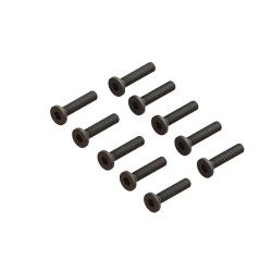 Flat Head Screw M2.5x12mm (10)