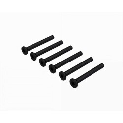 Flat Head Screw M2.5x22mm (6)